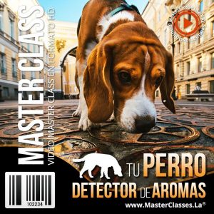Curso Tu Perro Detector de Aromas