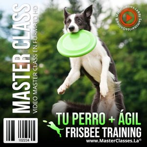 Curso Tu Perro + Ágil - Frisbee Training