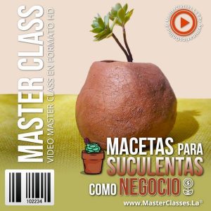Curso Macetas para Suculentas como Negocio